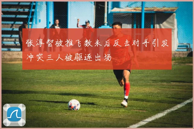 张淳智被推飞数米后反击对手引发冲突三人被驱逐出场