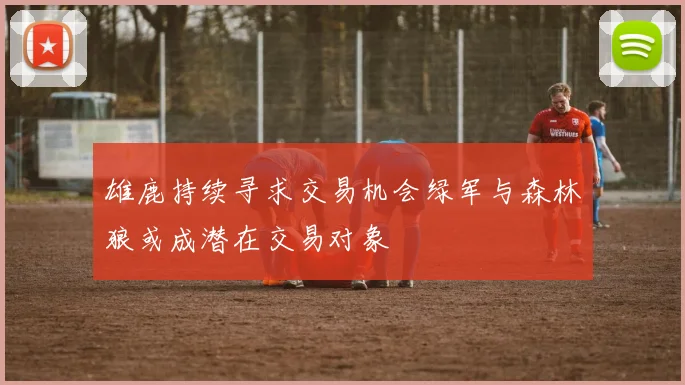 雄鹿持续寻求交易机会绿军与森林狼或成潜在交易对象